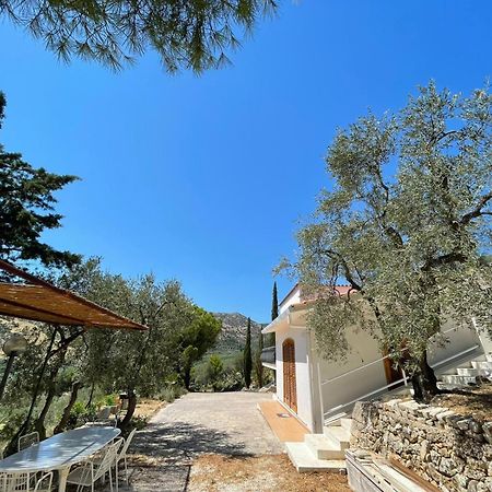 Colori Del Sud - Residence Mattinata Luaran gambar